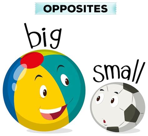 What is the opposite big?