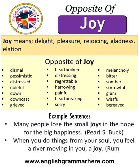 What is the opposite joy?