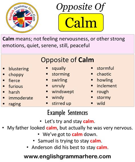 What is the opposite of a calm person?