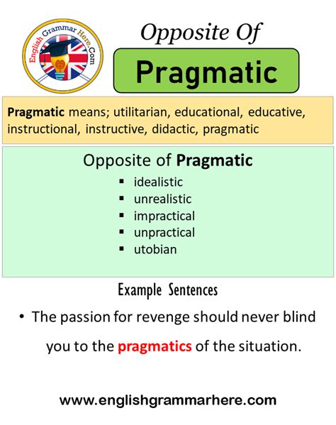 What is the opposite of a pragmatic person?