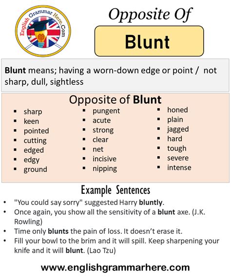 What is the opposite of blunt?