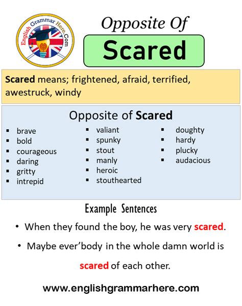 What is the opposite of scare?