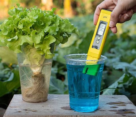What is the pH for hydroponics?