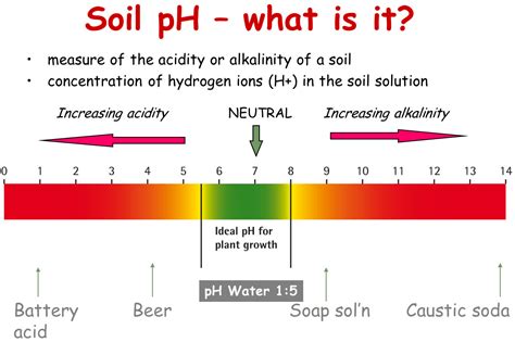 What is the pH level of soil in Mars?