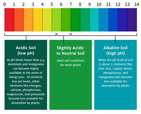 What is the pH of green sand?