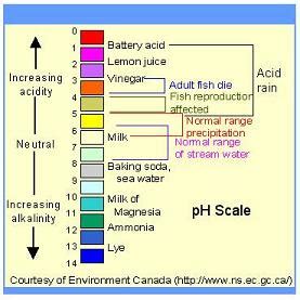 What is the pH of vinegar?