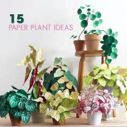 What is the paper plant?