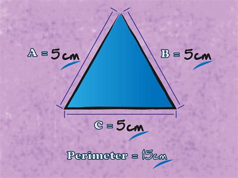 What is the perimeter of 8cm and 15cm?