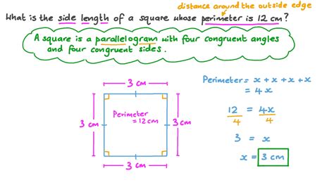 What is the perimeter of the sides of 12cm?