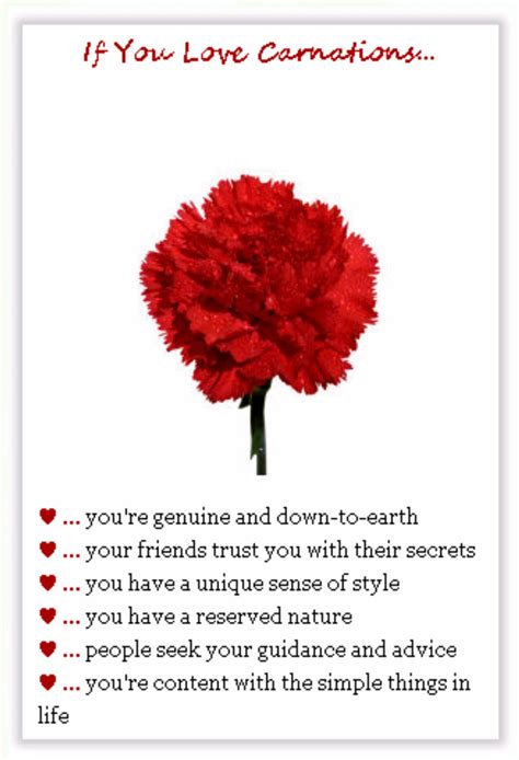 What is the personality of a carnation?