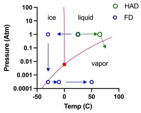 What is the physics of freeze-drying?