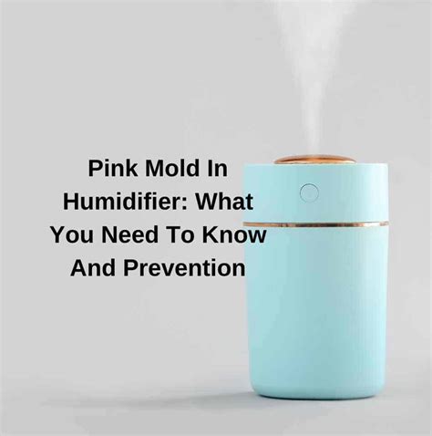 What is the pink mold in my humidifier?