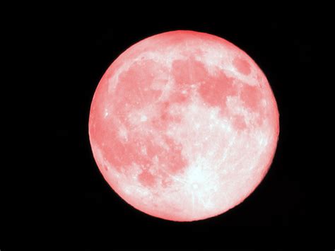 What is the pink moon?