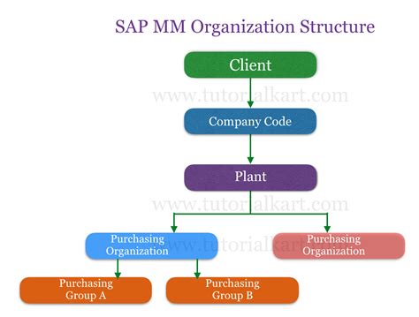 What is the plant structure of a company in SAP?