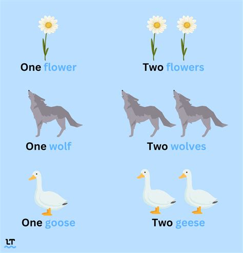 What is the plural form of wolf?