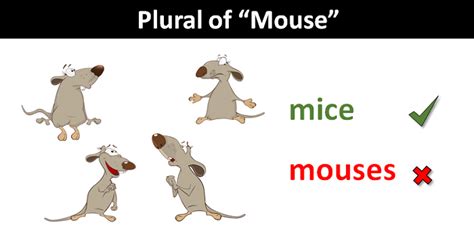 What is the plural of mouse?