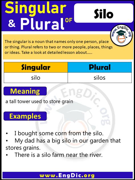 What is the plural of silo?