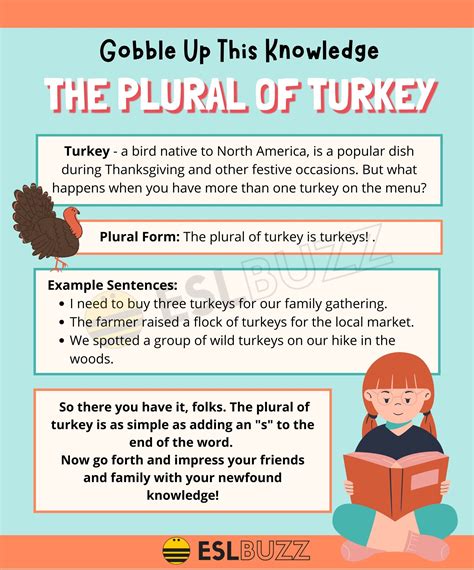 What is the plural of turkey?