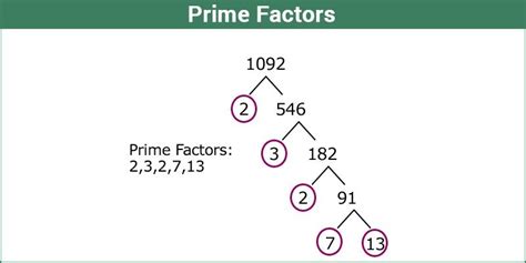 What is the prime fact of 23?