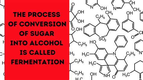 What is the process of converting sugars into alcohol?