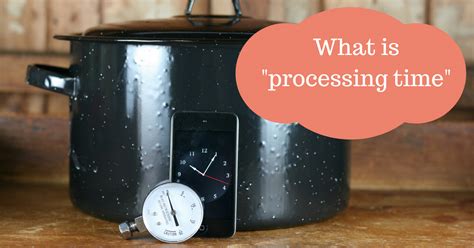 What is the processing time?