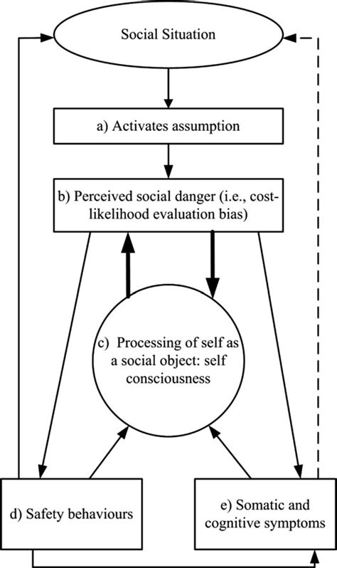 What is the psychological theory of social anxiety?