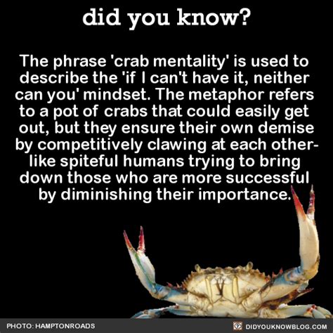 What is the psychology of crabs?