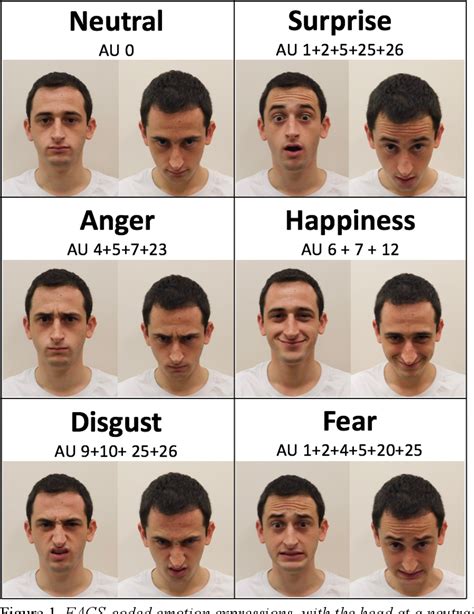 What is the psychology of head tilts?
