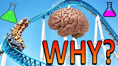 What is the psychology of liking roller coasters?