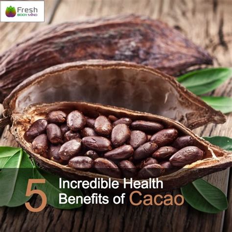 What is the purest form of cacao?