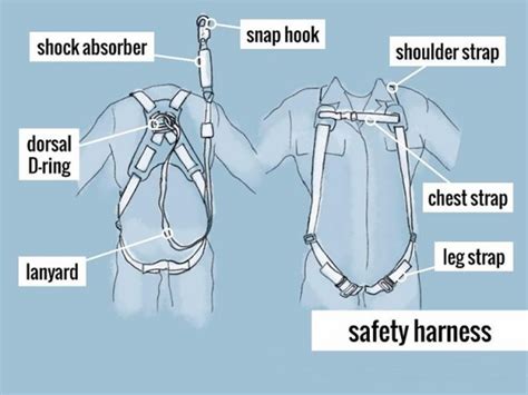 What is the purpose of a harness?
