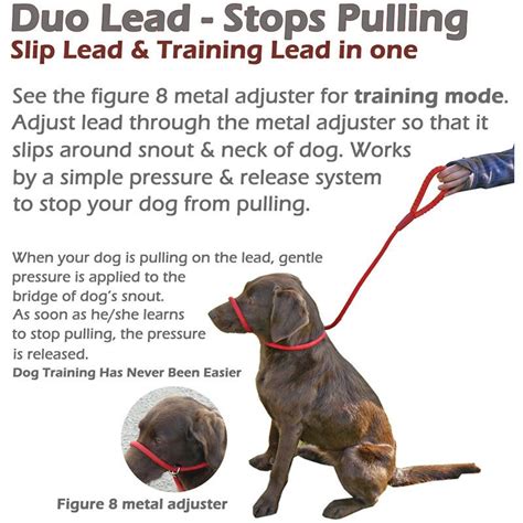 What is the purpose of a slip lead?