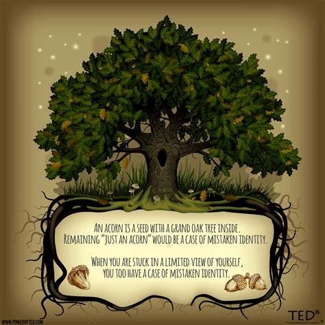 What is the quote oak tree acorn?