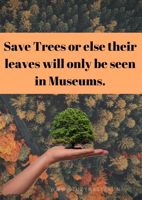 What is the quote save trees?