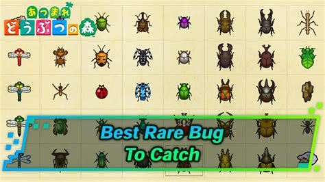 What is the rarest bug in Animal Crossing?