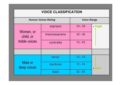 What is the rarest female voice?
