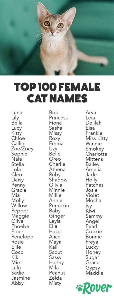 What is the rarest girl cat name?
