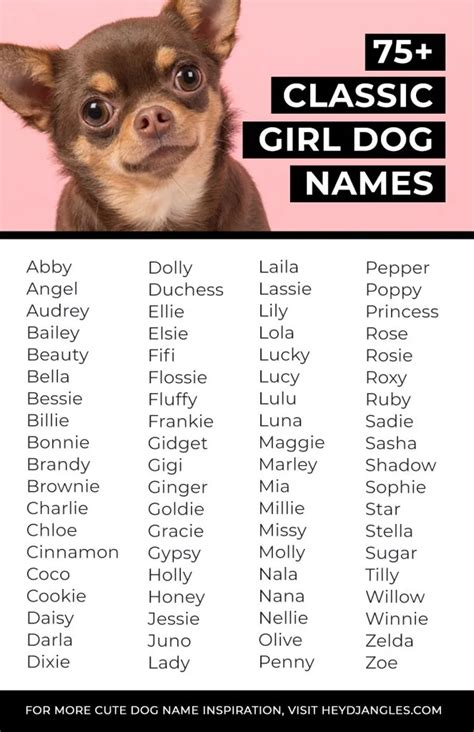What is the rarest girl dog name?