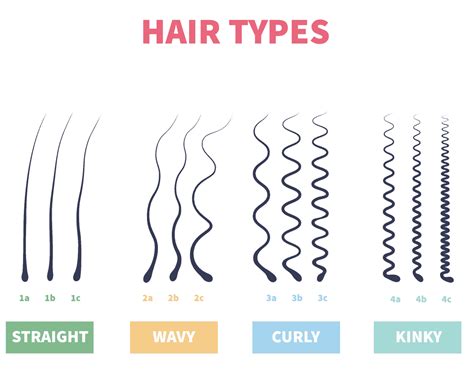 What is the rarest hair type?