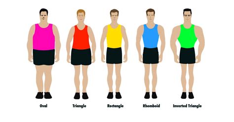 What is the rarest male body shape?