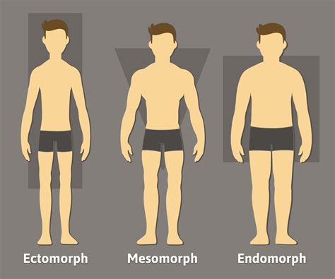 What is the rarest male body type?