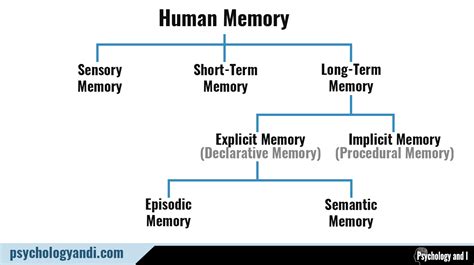 What is the rarest memory?