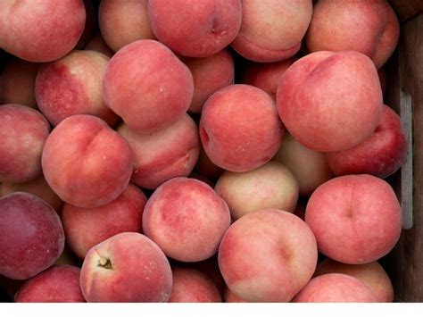 What is the rarest type of peach?