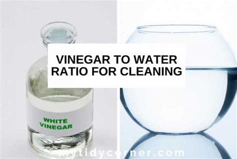What is the ratio of vinegar to water for cleaning concrete?