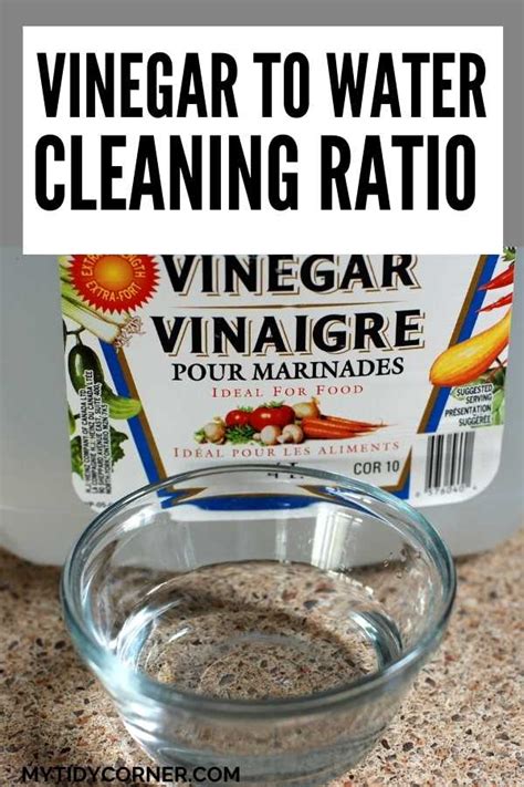 What is the ratio of white wine vinegar to water for cleaning?