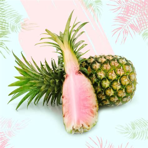 What is the real name of pink pineapple?