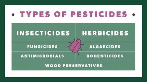 What is the reasonable shelf life of pesticides?