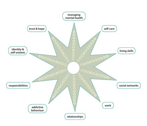 What is the recovery star in mental health nursing?