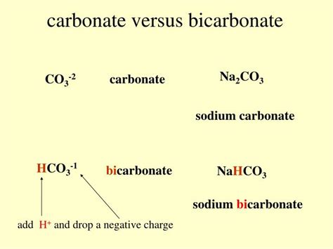 What is the relationship between bicarbonate and carbonic acid?