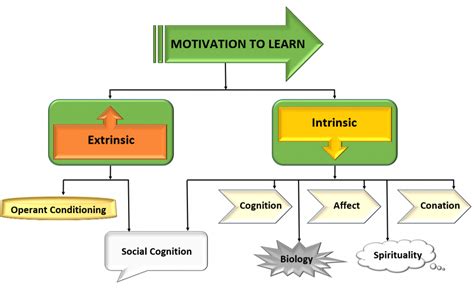 What is the relationship between learning and motivation?